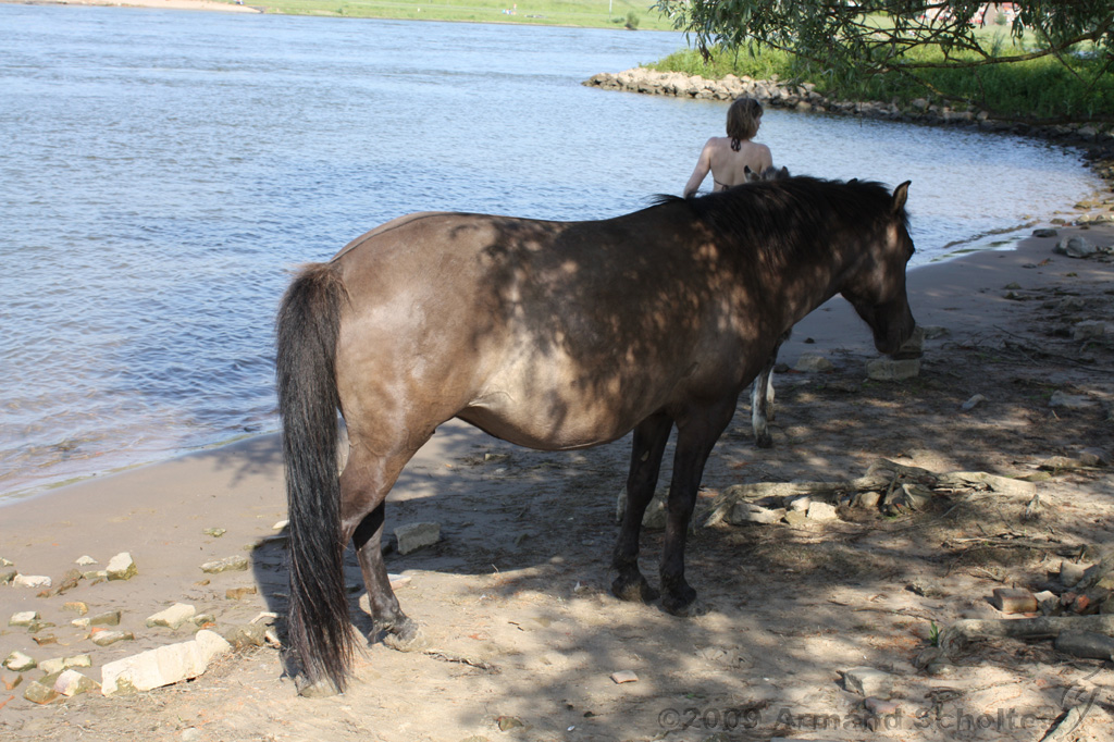 IJssel_079.jpg