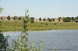 IJssel_001
