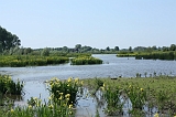 IJssel_003