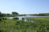 IJssel_004