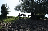 IJssel_048