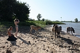 IJssel_071