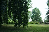 Dag_van_het_park_001