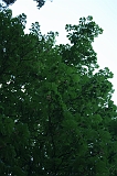 Dag_van_het_park_002