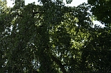 Dag_van_het_park_005