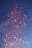 BBQ_075