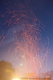 BBQ_077