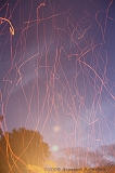 BBQ_080