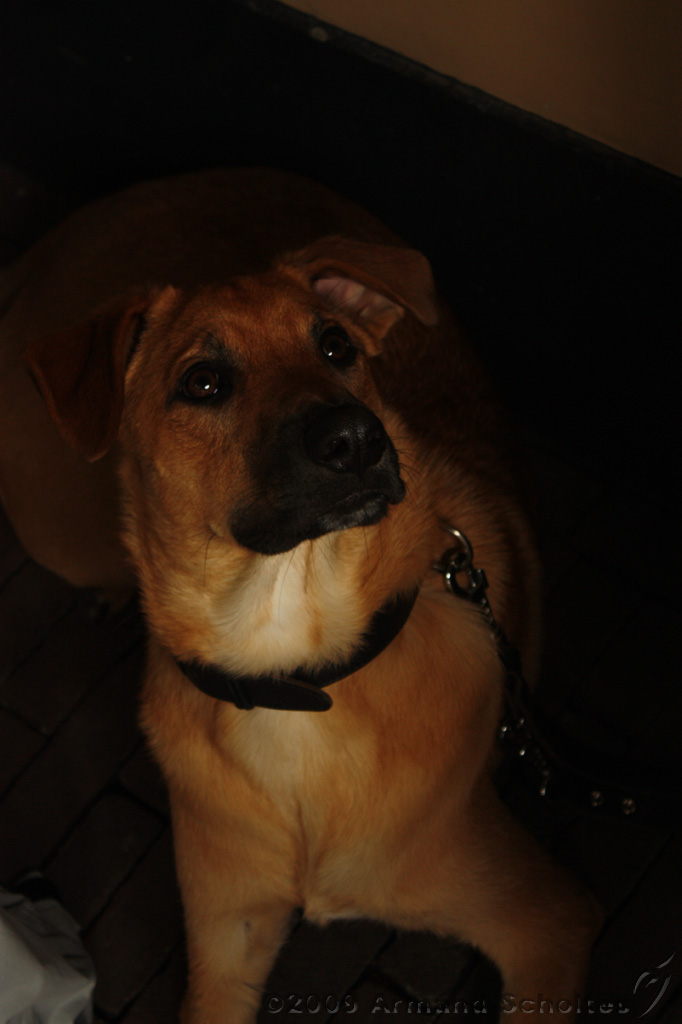 Jack_006.jpg