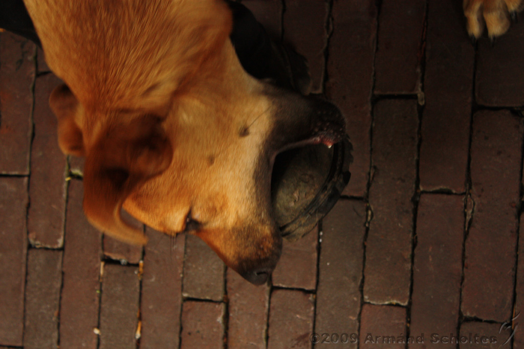 Jack_024.jpg