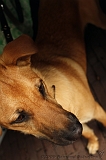 Jack_001