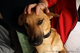 Jack_002