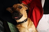 Jack_003