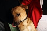 Jack_004