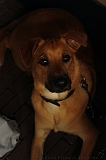 Jack_005