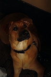 Jack_006