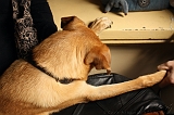 Jack_009