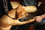 Jack_010
