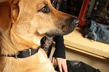 Jack_011