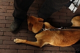 Jack_022