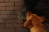 Jack_025