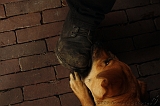 Jack_026