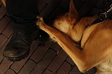 Jack_028