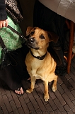 Jack_029