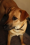 Jack_030
