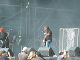 carcass