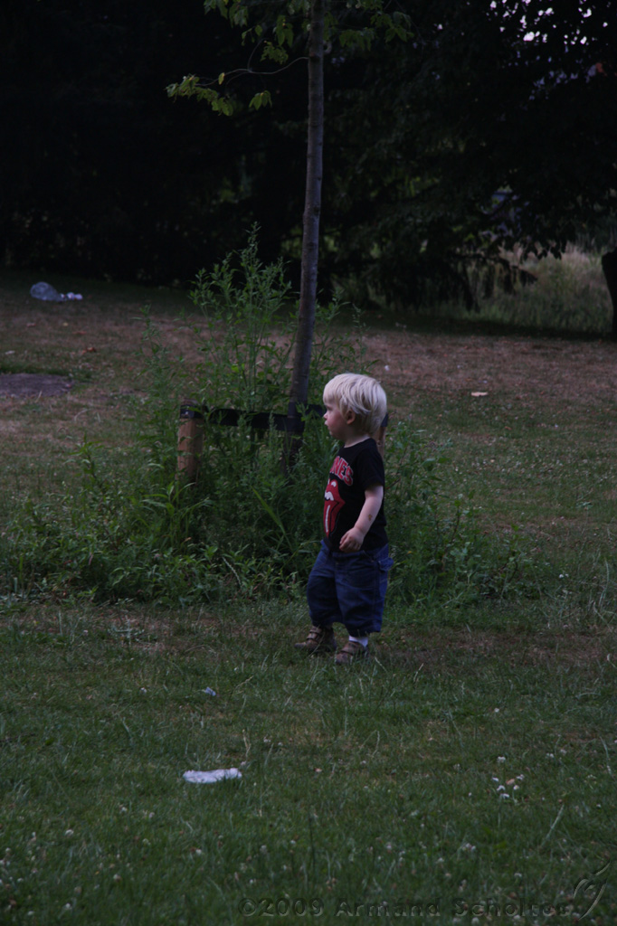 Rijsterborgher_Park_087.jpg