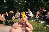 Rijsterborgher_Park_011