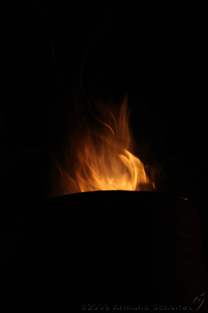 IMG_8610.jpg
