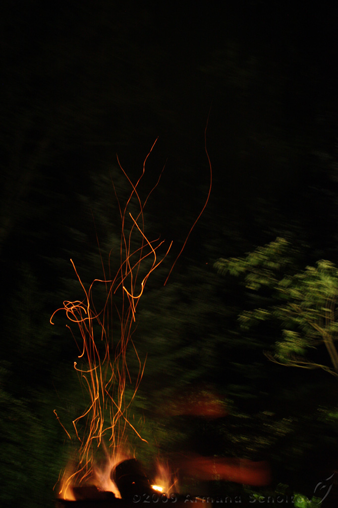 IMG_8621.jpg
