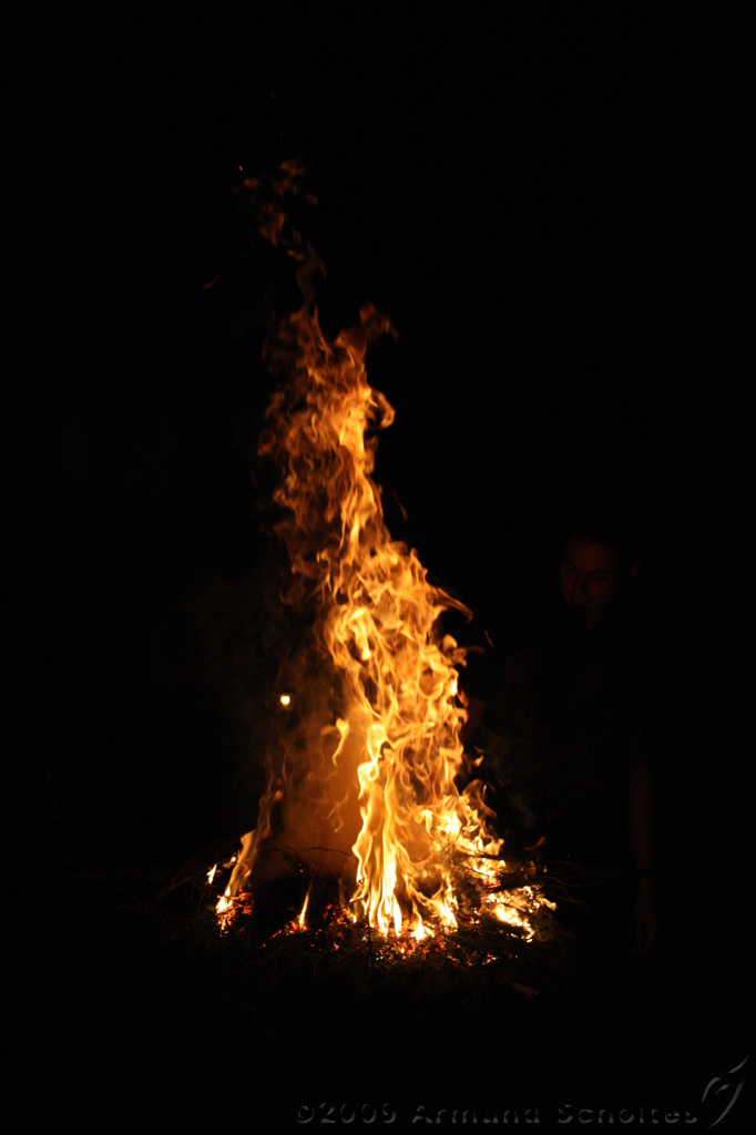 IMG_8645.jpg