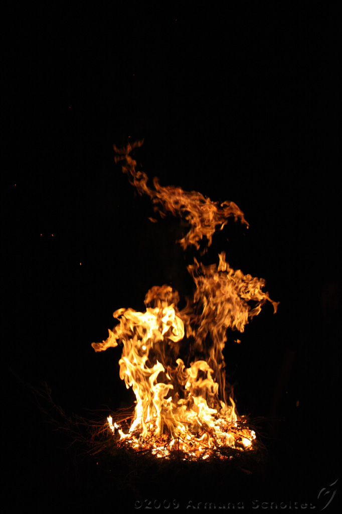 IMG_8646.jpg