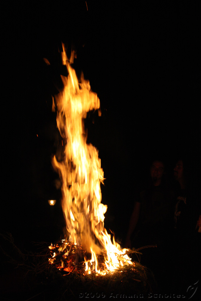 IMG_8648.jpg