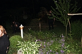 IMG_8635