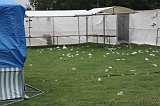 OccultFest_2009_059