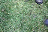 OccultFest_2009_120