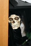 Halloween_008