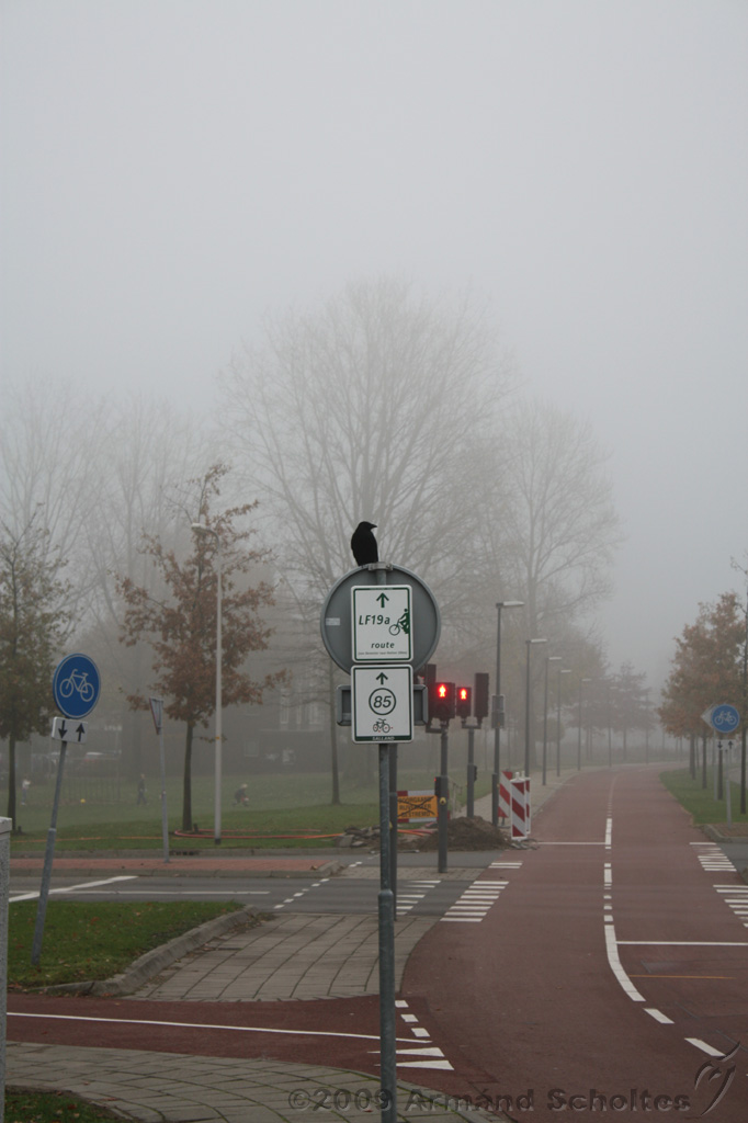 Mistig_003.jpg