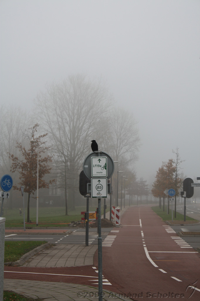 Mistig_004.jpg