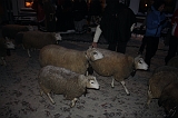 charles_dickens_2009_012
