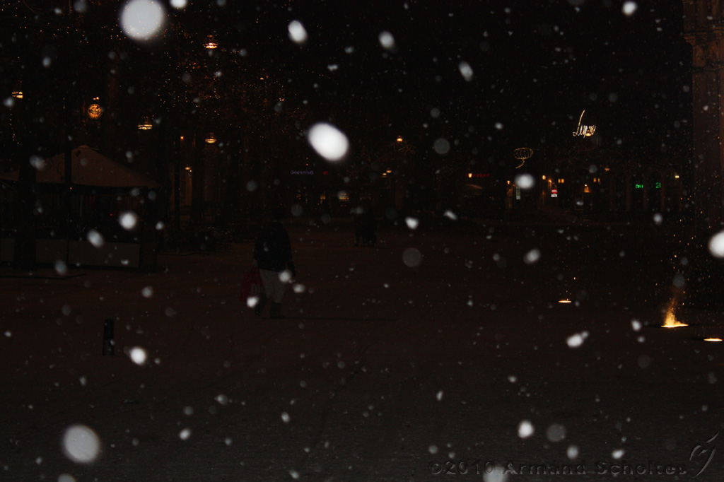 BrinkBesneeuwd_003.jpg
