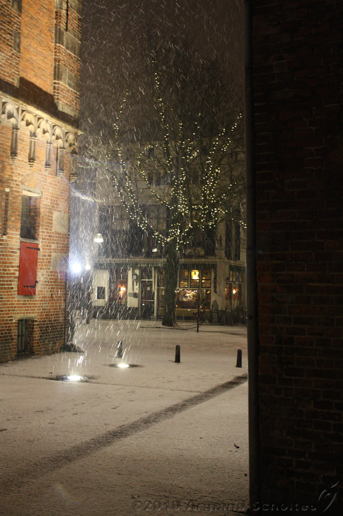 BrinkBesneeuwd_009.jpg