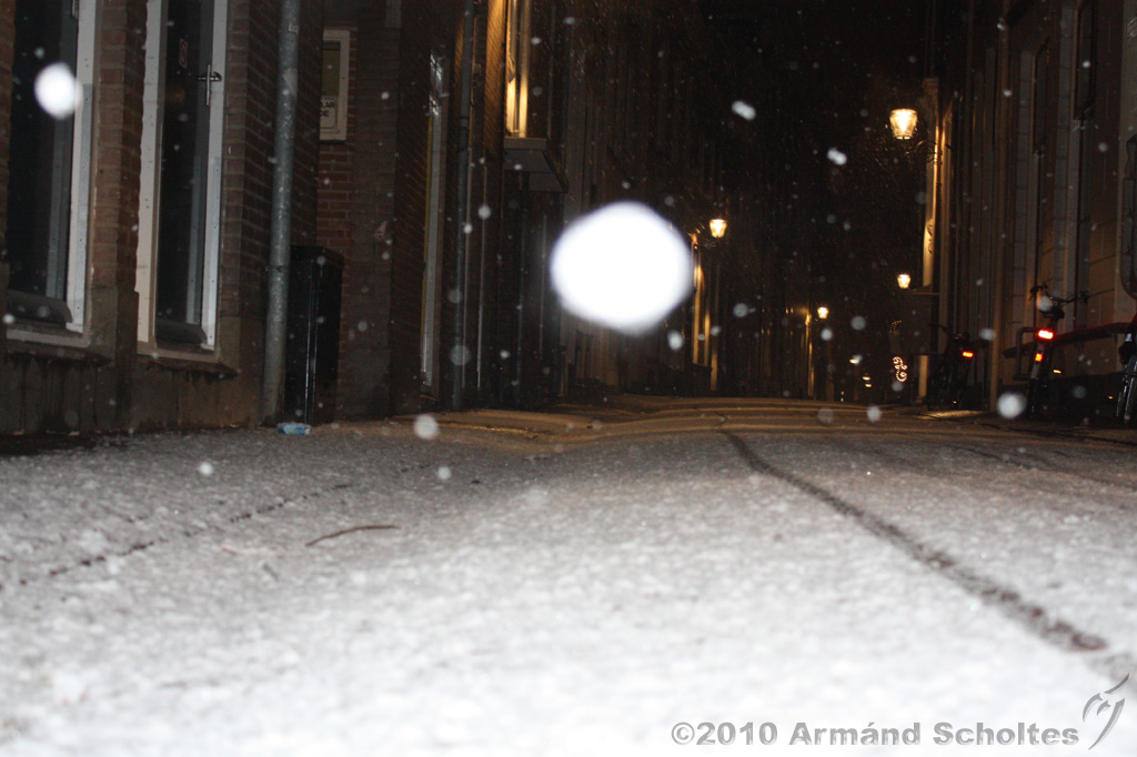 BrinkBesneeuwd_016.jpg