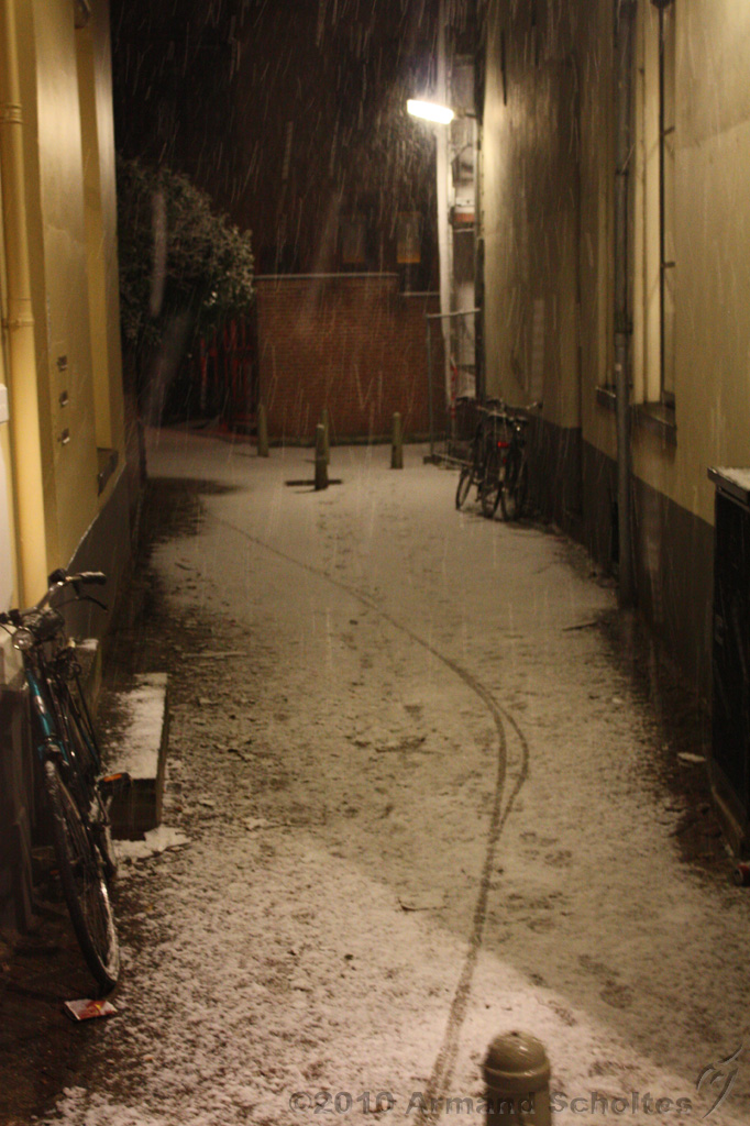 BrinkBesneeuwd_017.jpg