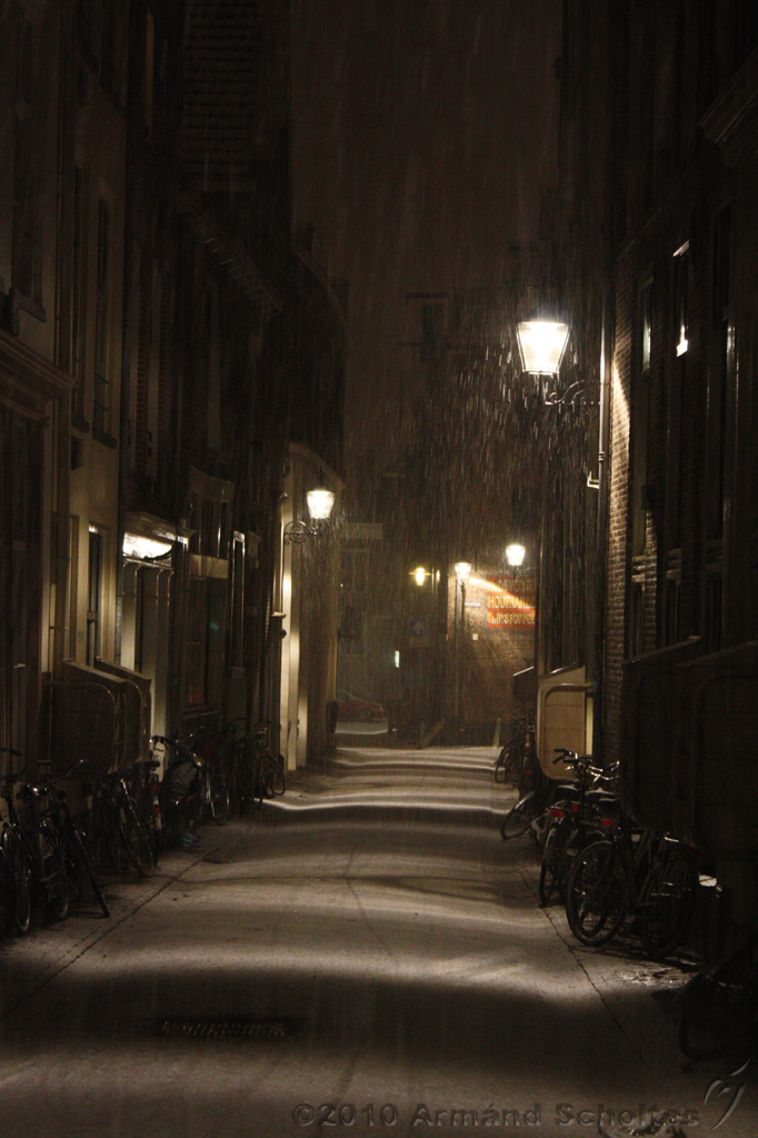 BrinkBesneeuwd_019.jpg