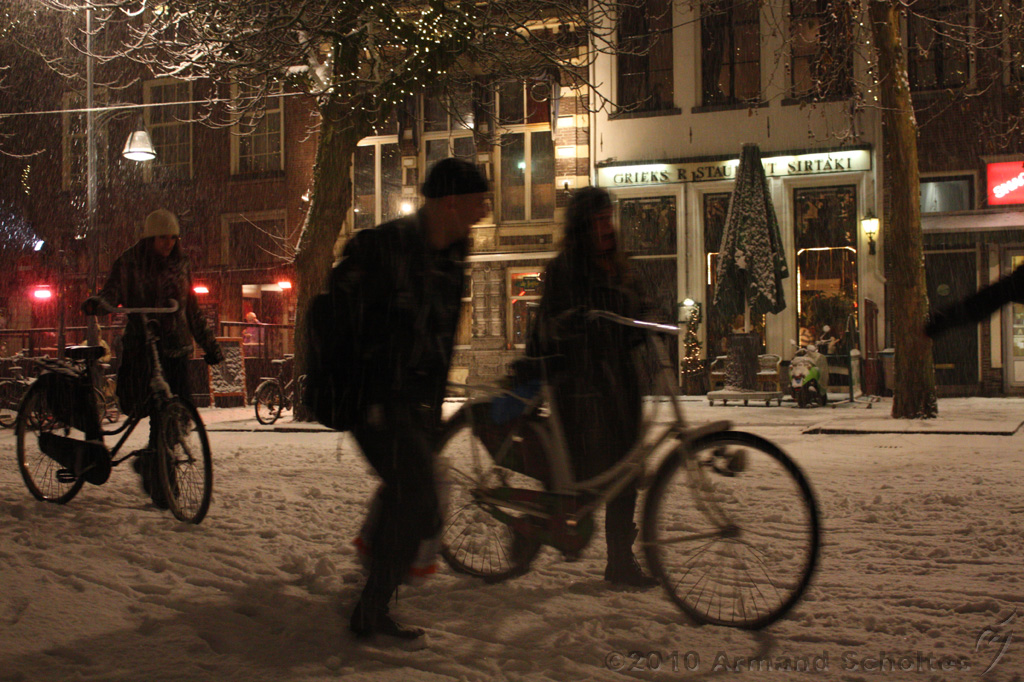 BrinkBesneeuwd_029.jpg